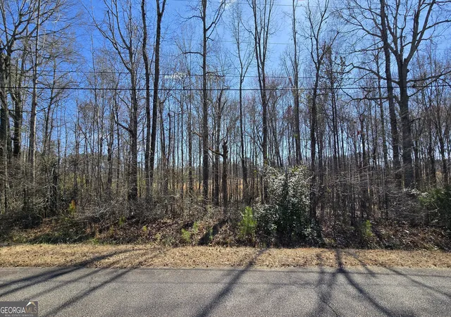 Photo 1 of Land for sale at 1108 Spring Crk Cir, Griffin, GA 30223 | MLS# 10847358 | Listing updated on 2026-09-30