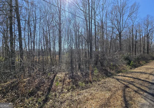 Photo 2 of Land for sale at 1108 Spring Crk Cir, Griffin, GA 30223 | MLS# 10847358 | Listing updated on 2026-09-30