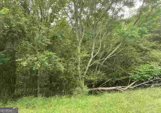 Photo 1 of Land for sale at 0 River Birch Ln, Colbert, GA 30628 | MLS# 10838920 | Listing updated on 2026-09-03