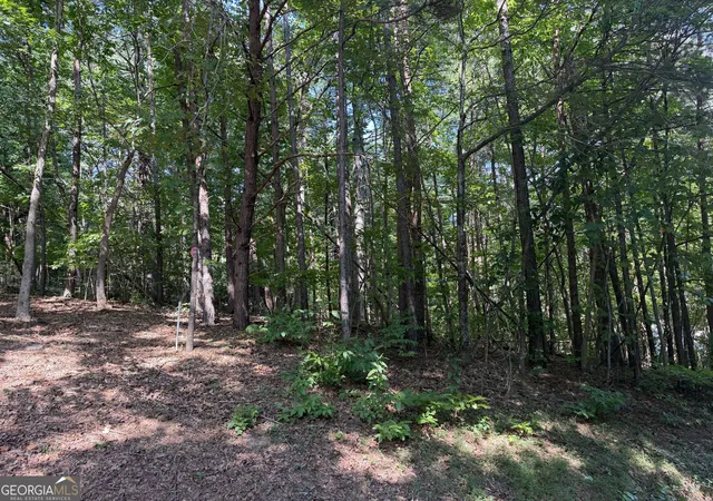 Photo 3 of Land for sale at 00 Summerwood Ln, Young Harris, GA 30582 | MLS# 10844244 | Listing updated on 2026-09-11
