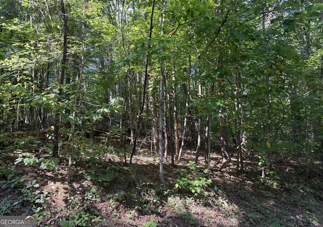 Photo 4 of Land for sale at 00 Summerwood Ln, Young Harris, GA 30582 | MLS# 10844244 | Listing updated on 2026-09-11