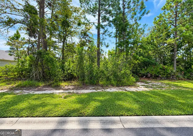 Photo 3 of Land for sale at Vl/50 Fiddlers Cvs Dr, Kingsland, GA 31548 | MLS# 10853587 | Listing updated on 2026-09-29