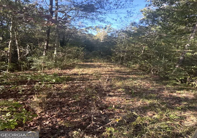 Photo 1 of Single family home for sale at 939 Chappell Ml Rd, Milner, GA 30257 | MLS# 10880209 | Listing updated on 2026-10-29