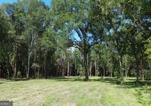 Photo 3 of Land for sale at 1046 Homer Bunch Rd, Statesboro, GA 30461 | MLS# 10836761 | Listing updated on 2026-09-15