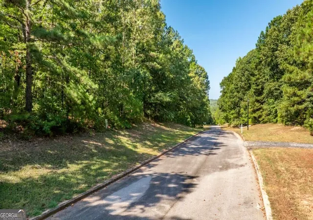 Photo 2 of Land for sale at 205 Long Cvs Dr, Lagrange, GA 30240 | MLS# 10846473 | Listing updated on 2026-10-02