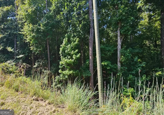 Photo 1 of Land for sale at 1050 Smith Rd, Fortson, GA 31808 | MLS# 10839502 | Listing updated on 2026-09-03