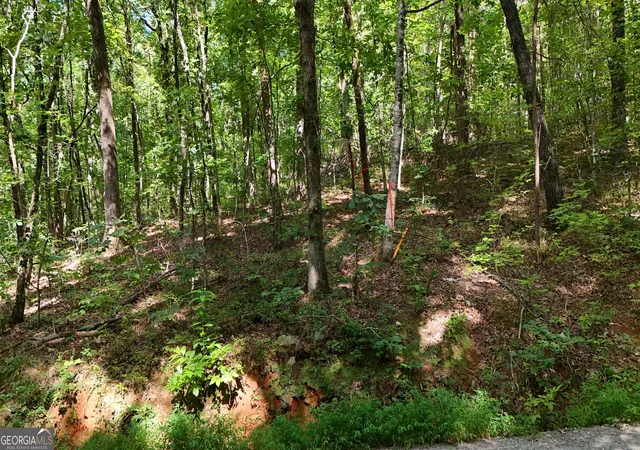 Photo 3 of Land for sale at Lot 182 Hillside Dr, Clarkesville, GA 30523 | MLS# 10841219 | Listing updated on 2026-09-20