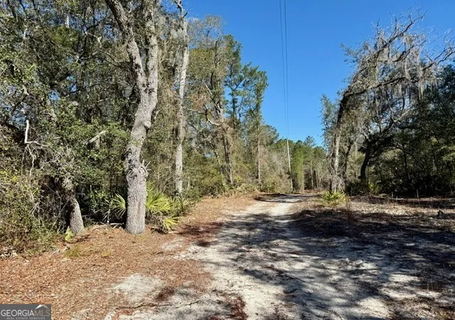 Land for sale at 0 Live Oak Ln Rd, Pembroke, GA 31321 | MLS# 10846393