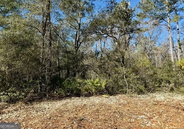 Photo 2 of Land for sale at 0 Live Oak Ln Rd, Pembroke, GA 31321 | MLS# 10846393 | Listing updated on 2026-09-30