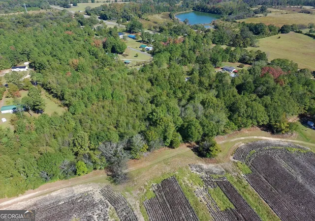 Photo 4 of Land for sale at 993 Acres Park Ave, Reynolds, GA 31076 | MLS# 10875552 | Listing updated on 2026-10-27