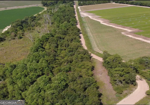 Photo 3 of Land for sale at 0 Rommie Thompson Rd, Claxton, GA 30417 | MLS# 10850599 | Listing updated on 2026-10-06