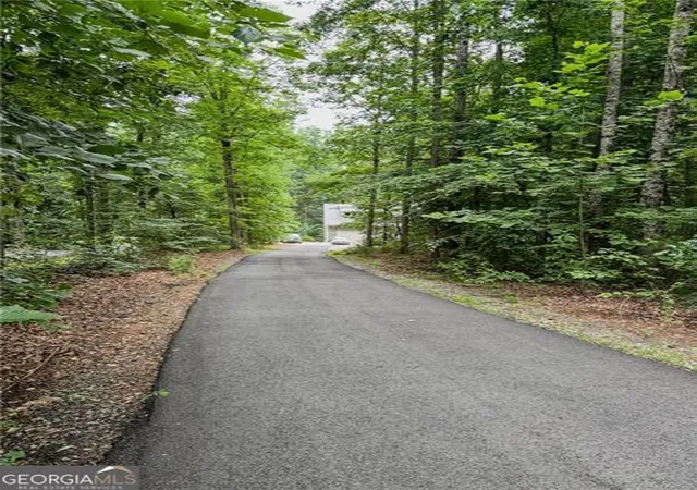 Photo 17 of Single family home for sale at 1250 Blue Ridge Overlook, Dawsonville, GA 30534 | MLS# 10788996 | Listing updated on 2026-09-15