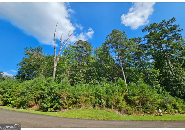 Photo 1 of Land for sale at Lot 241 Carters View Ln, Ellijay, GA 30540 | MLS# 10840159 | Listing updated on 2026-09-18