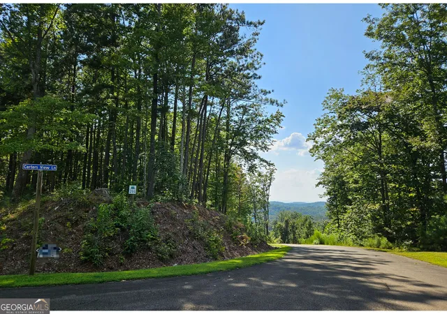 Photo 4 of Land for sale at Lot 241 Carters View Ln, Ellijay, GA 30540 | MLS# 10840159 | Listing updated on 2026-09-18