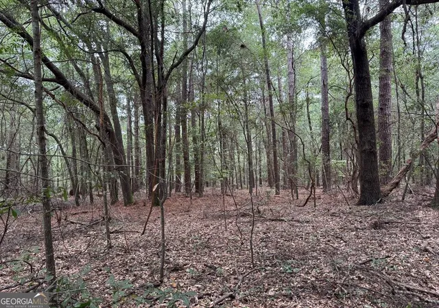 Photo 3 of Land for sale at 0 Glen Dr Lot 9 #LOT 9, East Dublin, GA 31027 | MLS# 10839565 | Listing updated on 2026-09-17