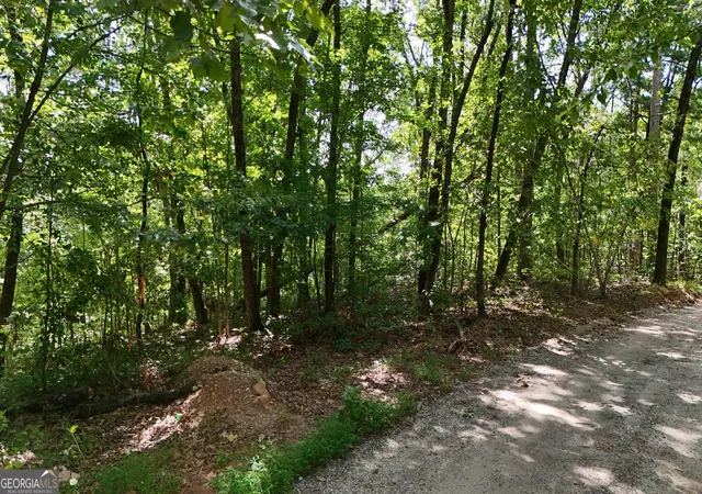 Photo 2 of Land for sale at Lot 175 Mountain Crst Dr, Clarkesville, GA 30523 | MLS# 10841221 | Listing updated on 2026-09-20