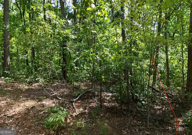 Photo 3 of Land for sale at Lot 175 Mountain Crst Dr, Clarkesville, GA 30523 | MLS# 10841221 | Listing updated on 2026-09-20
