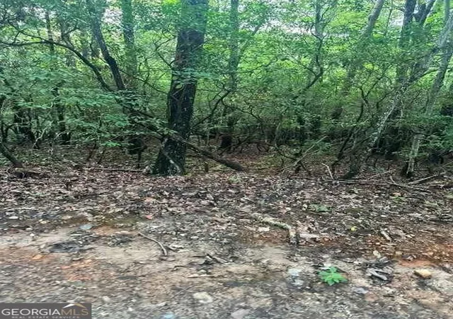 Photo 1 of Land for sale at Lots 3&4 Amicalola Woods Rd, Dawsonville, GA 30534 | MLS# 10872754 | Listing updated on 2026-10-28