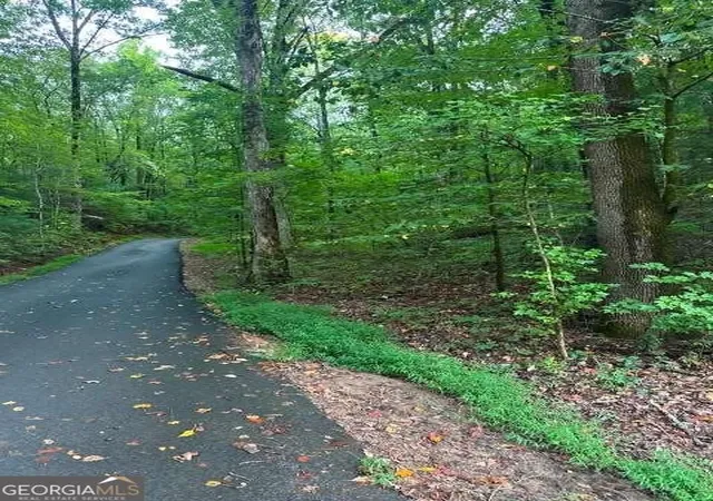 Photo 2 of Land for sale at Lots 3&4 Amicalola Woods Rd, Dawsonville, GA 30534 | MLS# 10872754 | Listing updated on 2026-10-28