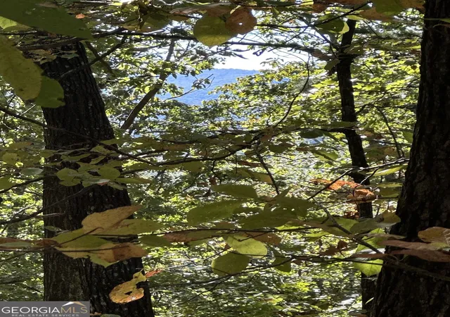 Photo 4 of Land for sale at Lots 3&4 Amicalola Woods Rd, Dawsonville, GA 30534 | MLS# 10872754 | Listing updated on 2026-10-28