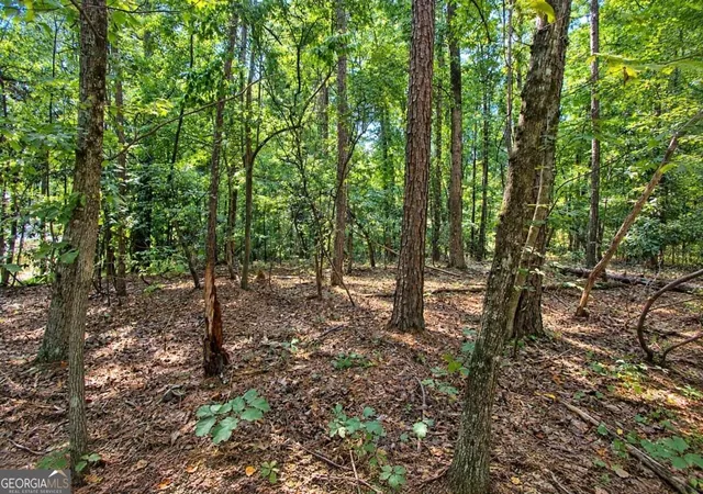 Photo 2 of Land for sale at 0 Buice Rd, Johns Creek, GA 30022 | MLS# 10851073 | Listing updated on 2026-09-23