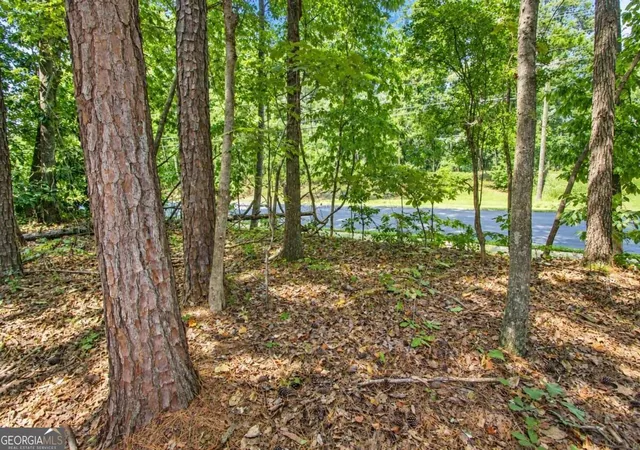 Photo 3 of Land for sale at 0 Buice Rd, Johns Creek, GA 30022 | MLS# 10851073 | Listing updated on 2026-09-23