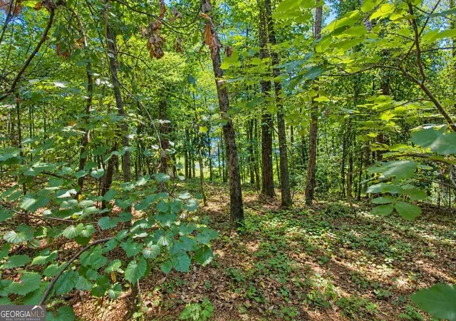 Photo 4 of Land for sale at 0 Buice Rd, Johns Creek, GA 30022 | MLS# 10851073 | Listing updated on 2026-09-23