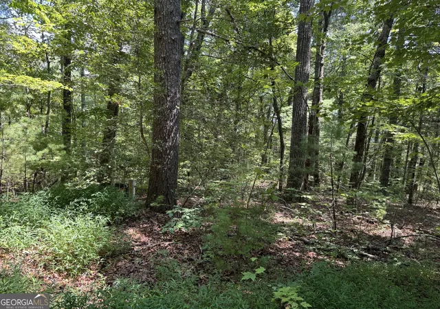 Photo 1 of Land for sale at 0 Baylaurel Dr, Helen, GA 30545 | MLS# 10851234 | Listing updated on 2026-10-06