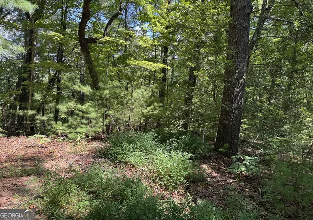Photo 3 of Land for sale at 0 Baylaurel Dr, Helen, GA 30545 | MLS# 10851234 | Listing updated on 2026-10-06