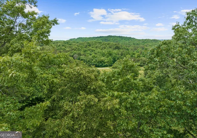 Photo 3 of Land for sale at 177 - A Shangri La Dr, Mineral Bluff, GA 30559 | MLS# 10839534 | Listing updated on 2026-09-17