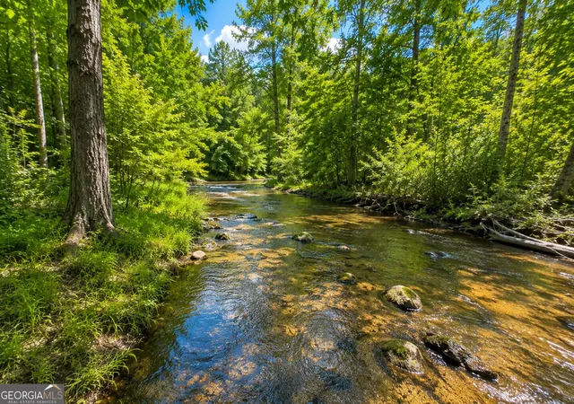 Photo 3 of Land for sale at 47 Acres Cochran Rd, Madison, GA 30650 | MLS# 10827998 | Listing updated on 2026-09-13