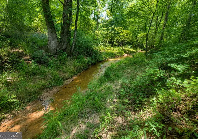Photo 4 of Land for sale at 47 Acres Cochran Rd, Madison, GA 30650 | MLS# 10827998 | Listing updated on 2026-09-13