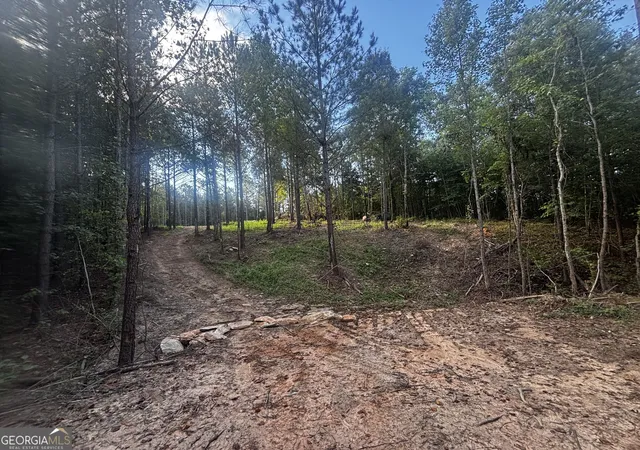 Photo 3 of Land for sale at 2807 Cedar Crk Rd, Elberton, GA 30635 | MLS# 10841127 | Listing updated on 2026-09-20