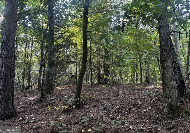 Photo 4 of Land for sale at 2807 Cedar Crk Rd, Elberton, GA 30635 | MLS# 10841127 | Listing updated on 2026-09-20
