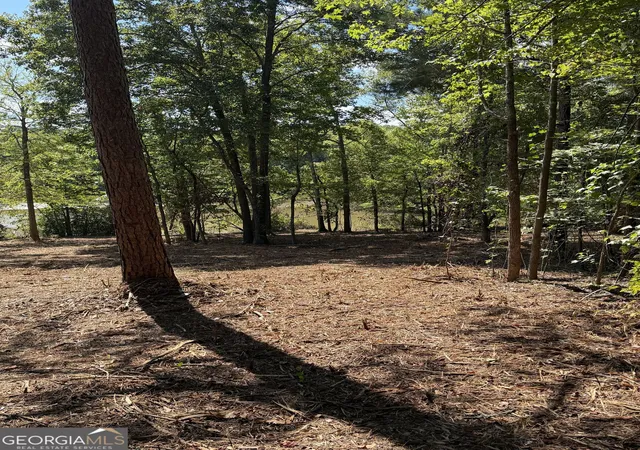 Photo 4 of Land for sale at 147 Edgewater Dr, Eatonton, GA 31024 | MLS# 10838339 | Listing updated on 2026-09-16