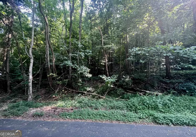 Photo 1 of Land for sale at Lot 13 Chalet Dr, Sautee Nacoochee, GA 30571 | MLS# 10849426 | Listing updated on 2026-10-02
