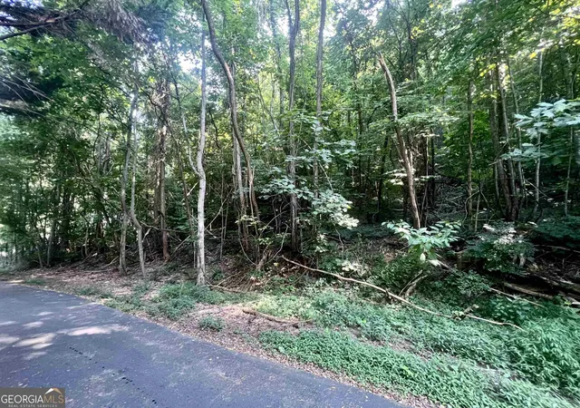 Photo 2 of Land for sale at Lot 13 Chalet Dr, Sautee Nacoochee, GA 30571 | MLS# 10849426 | Listing updated on 2026-10-02