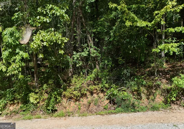 Photo 3 of Land for sale at Lot 184 Hillside Dr, Clarkesville, GA 30523 | MLS# 10841500 | Listing updated on 2026-09-21