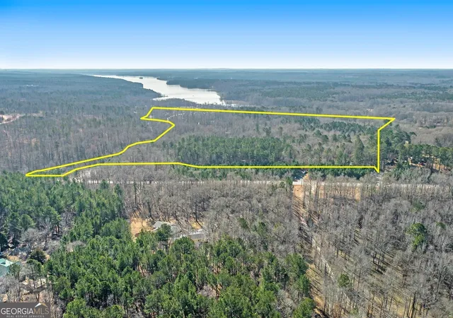 Photo 2 of Land for sale at 0 Hampton Locust Grv Rd, Hampton, GA 30228 | MLS# 10850041 | Listing updated on 2026-10-05