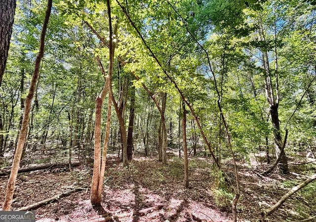 Photo 2 of Land for sale at 0 Columbus Rd, Lizella, GA 31052 | MLS# 10852282 | Listing updated on 2026-10-08