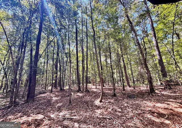 Photo 3 of Land for sale at 0 Columbus Rd, Lizella, GA 31052 | MLS# 10852282 | Listing updated on 2026-10-08