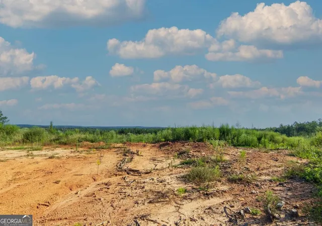 Photo 1 of Land for sale at Tract 3 Highway 0036, Woodland, GA 31836 | MLS# 10837420 | Listing updated on 2026-09-21