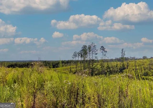 Photo 2 of Land for sale at Tract 3 Highway 0036, Woodland, GA 31836 | MLS# 10837420 | Listing updated on 2026-09-21
