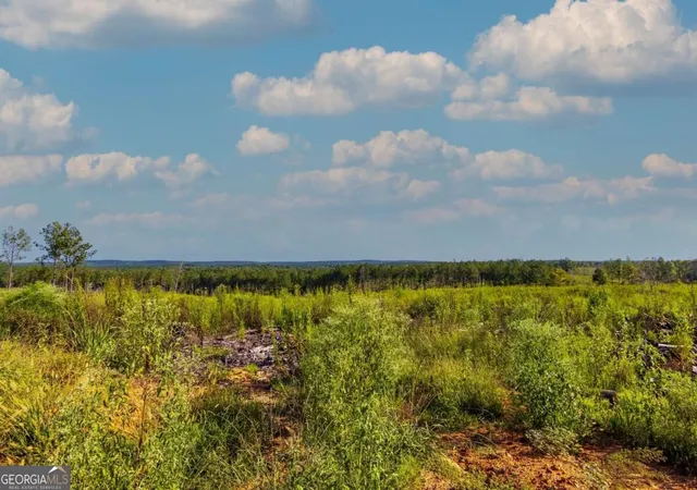 Photo 3 of Land for sale at Tract 3 Highway 0036, Woodland, GA 31836 | MLS# 10837420 | Listing updated on 2026-09-21