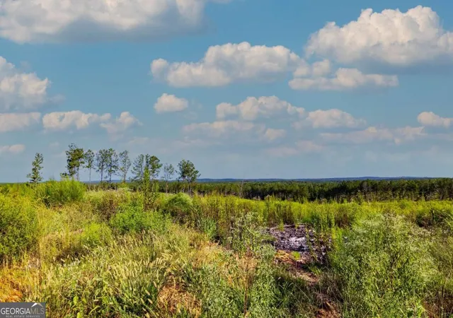 Photo 4 of Land for sale at Tract 3 Highway 0036, Woodland, GA 31836 | MLS# 10837420 | Listing updated on 2026-09-21