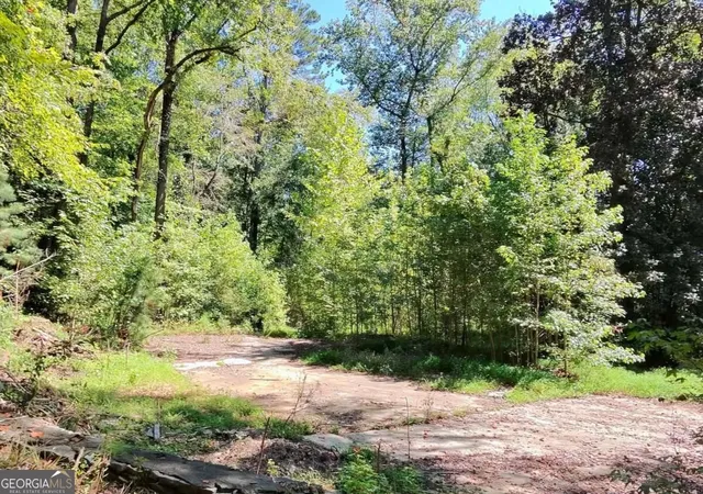 Photo 2 of Land for sale at 4824 Flakes Ml Rd, Ellenwood, GA 30294 | MLS# 10849334 | Listing updated on 2026-10-02