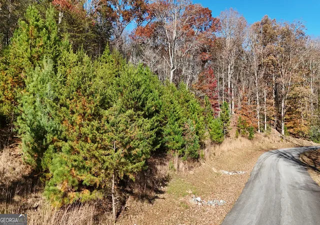 Photo 1 of Land for sale at Lot 184 Northshore Dr, Cleveland, GA 30528 | MLS# 10851934 | Listing updated on 2026-10-07