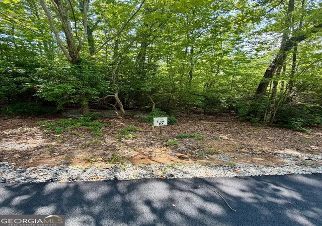 Photo 3 of Land for sale at Lot 10 Sapphire Ridge, Blue Ridge, GA 30513 | MLS# 10848370 | Listing updated on 2026-09-18