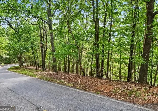 Photo 3 of Land for sale at 3108 Falcon Hts, Big Canoe, GA 30143 | MLS# 10844175 | Listing updated on 2026-09-25