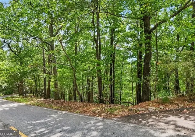 Photo 3 of Land for sale at 3108 Falcon Hts, Big Canoe, GA 30143 | MLS# 10844175 | Listing updated on 2026-09-25